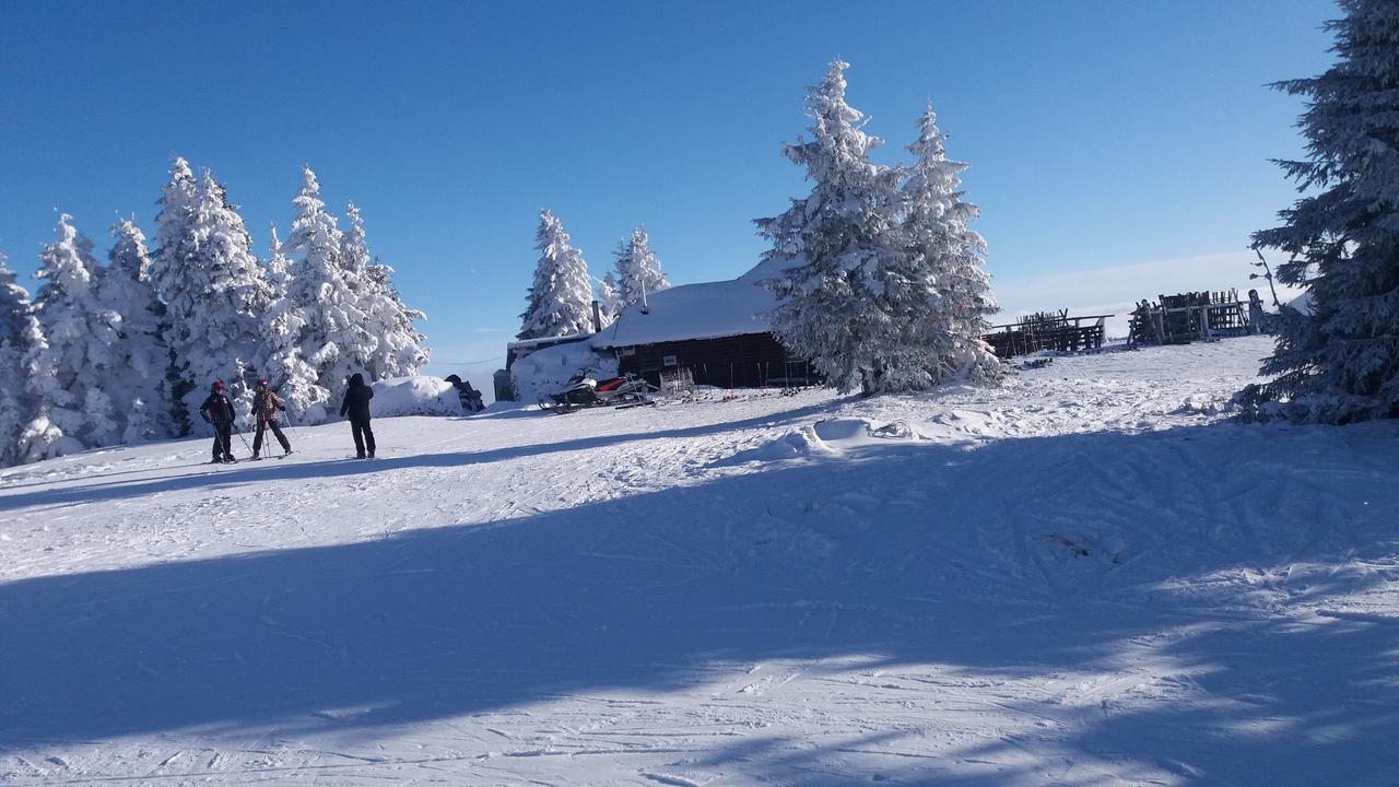 Apartment Maja Konaci Kopaonik Kültér fotó